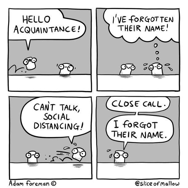  Marshmallow Social Distance Acquaintance