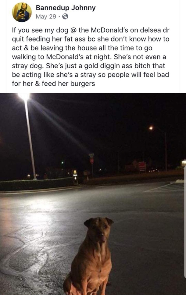 McDoggo