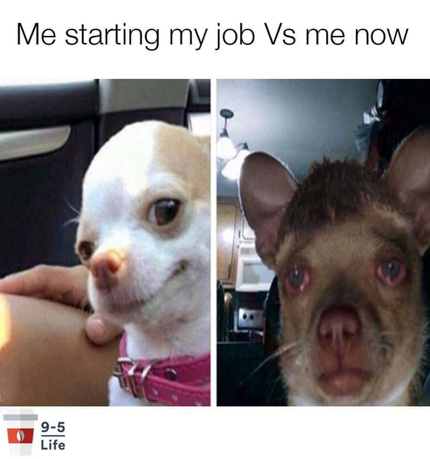 Me