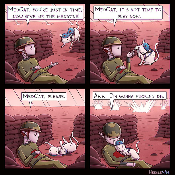 MedCat