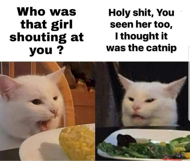 Meeeooow