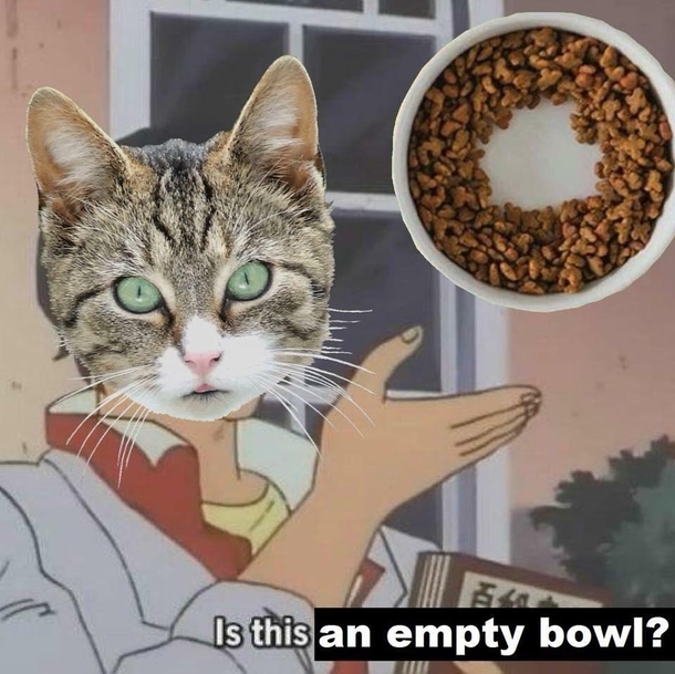 Meeeow