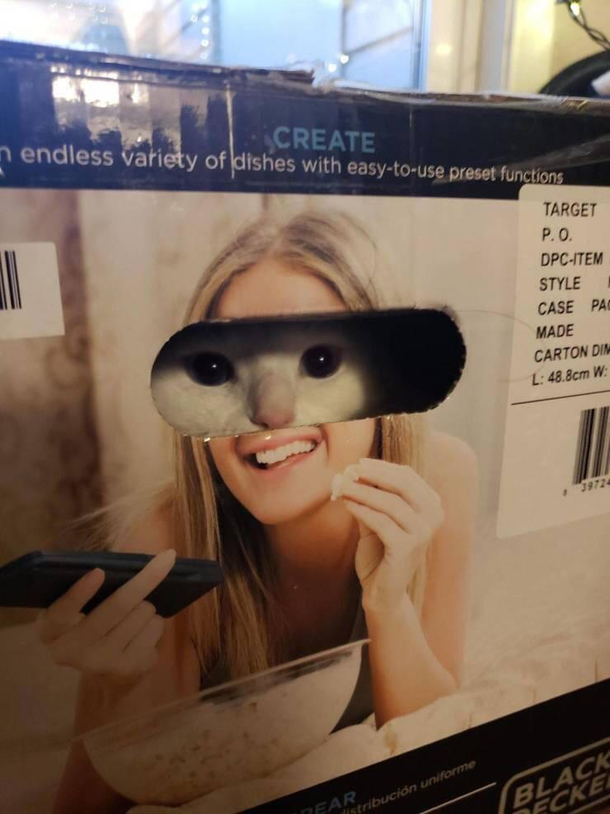 Meow