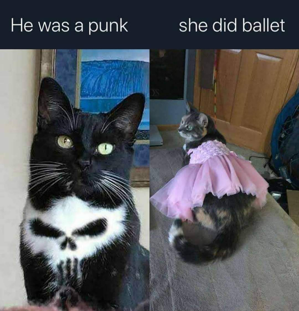 Meow