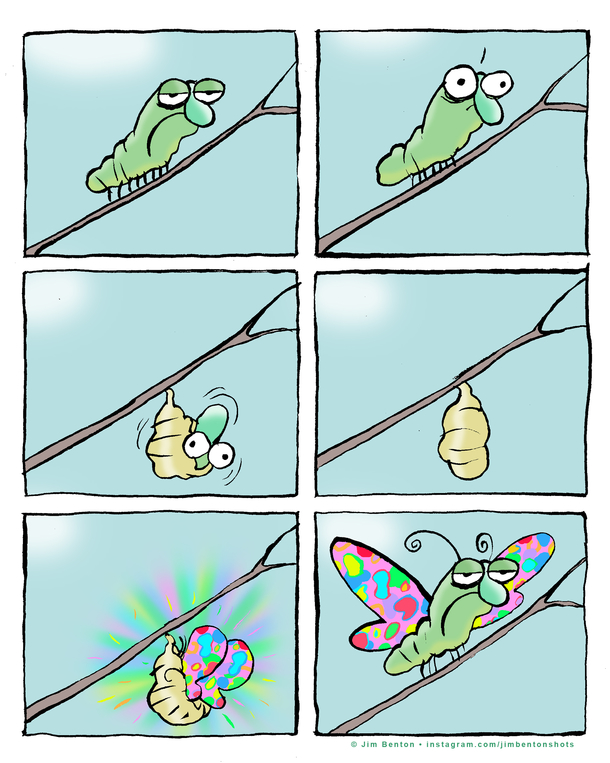 metamorphosis