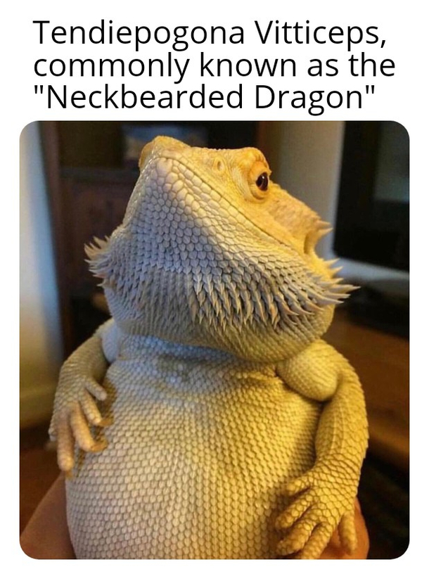 Mhuehuehue