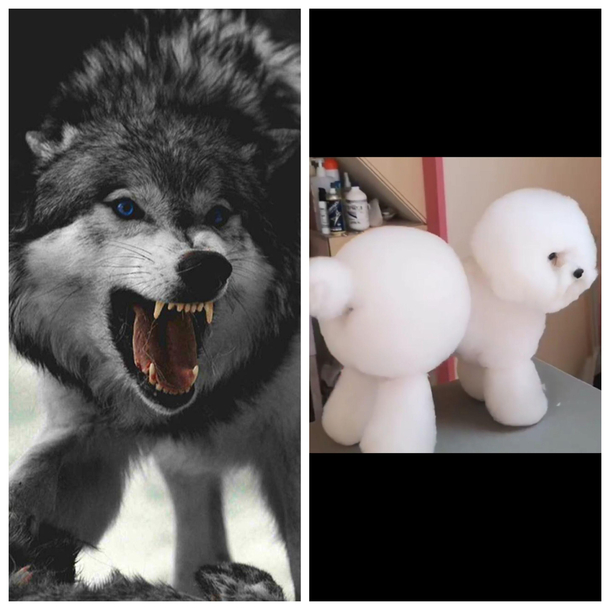 millionyearschallenge