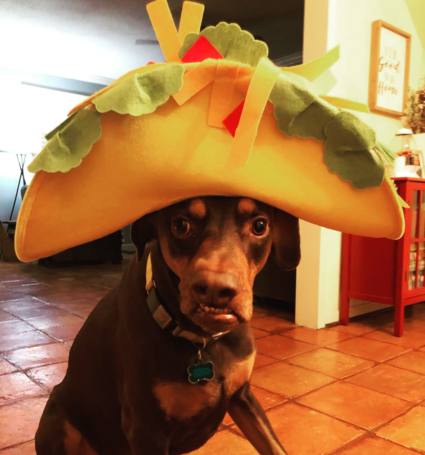  minutes til Taco Tuesday