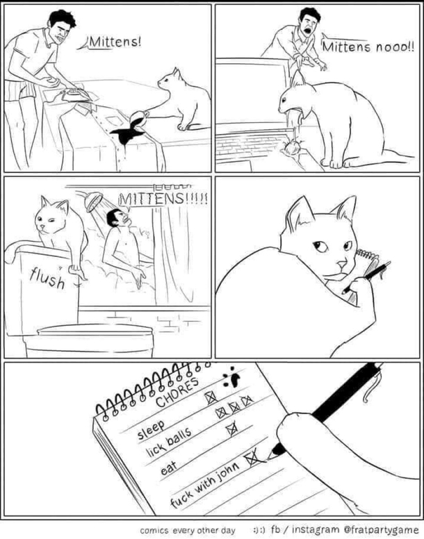 Mittens