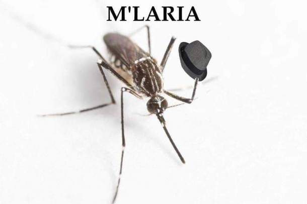 MLARIA