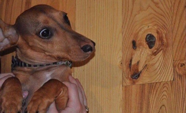 Mom