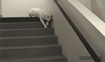 Mondays