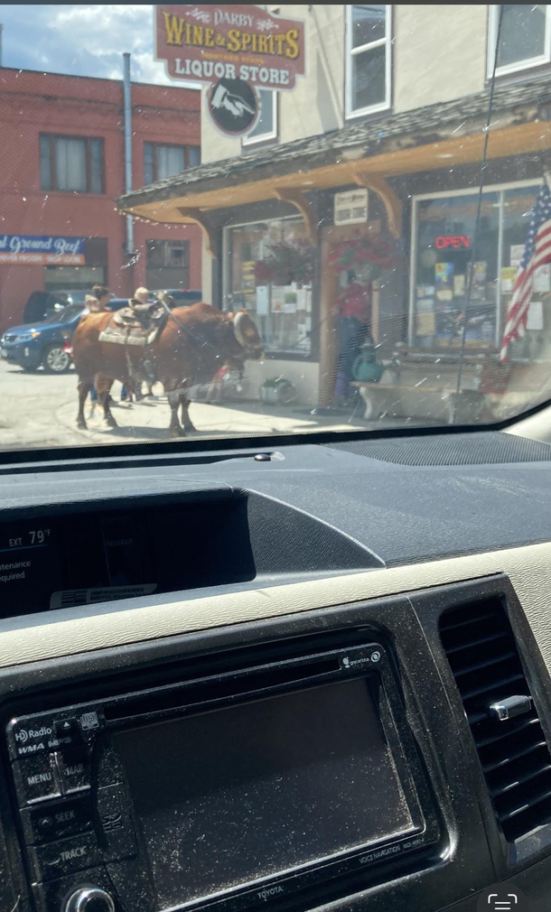  Montana Shenanigans