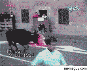 MOOOOO