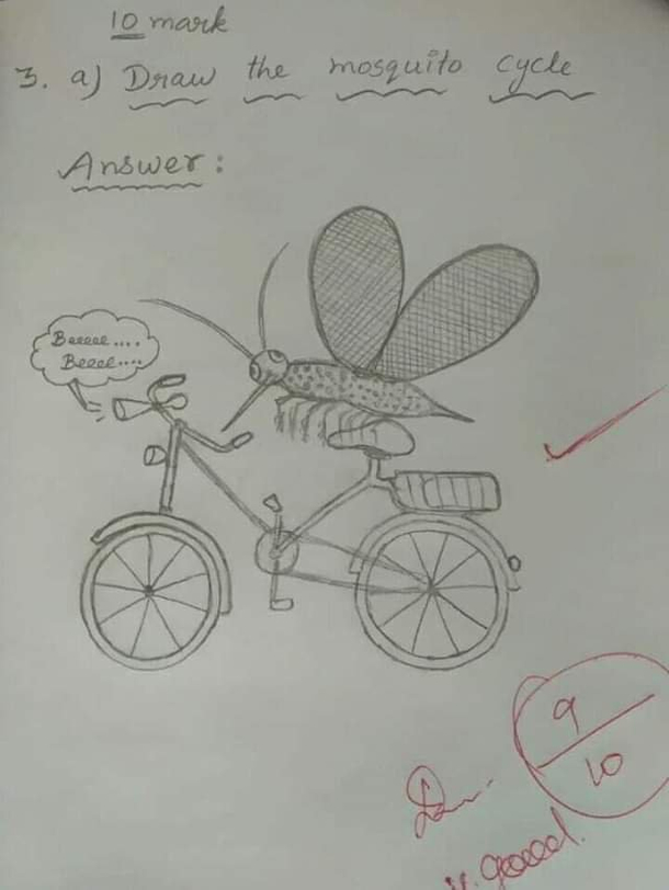 Mosquito