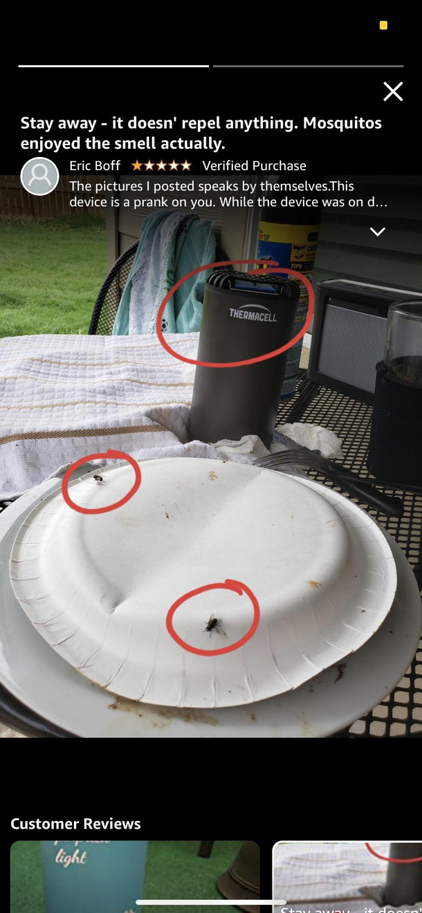 Mosquitos