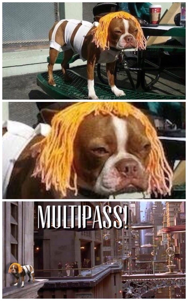 MULTIPASS