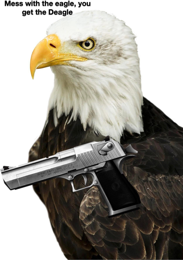 Murica