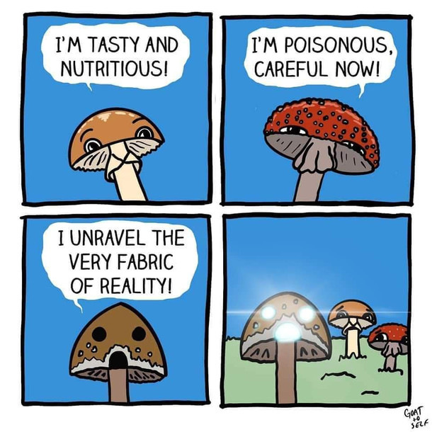 Mushrooms
