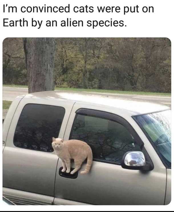 Nani