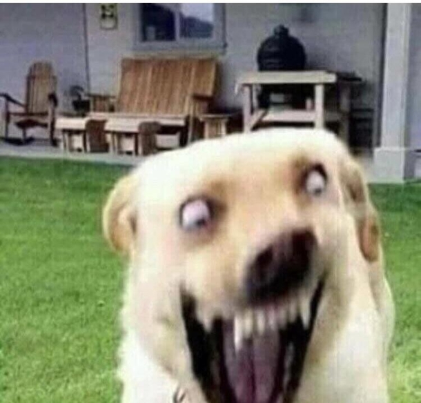  nanosecond after he saw a cat