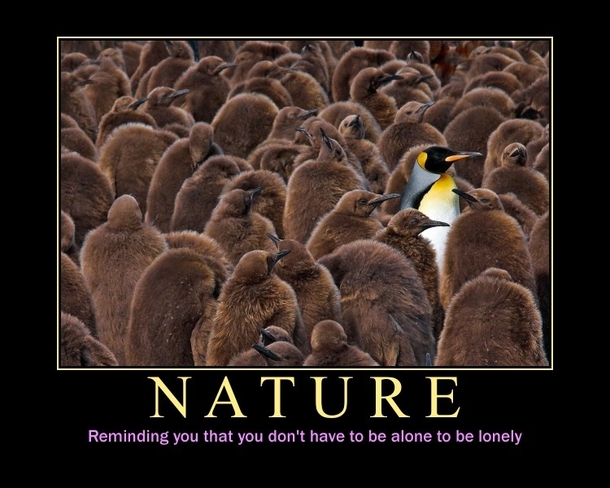 Nature