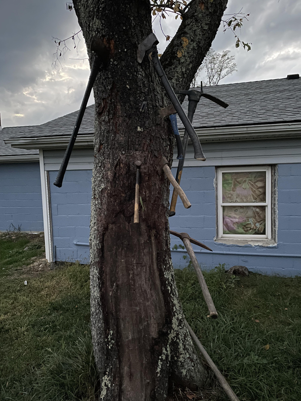  Neighbors Redneck Tree Ornamentation