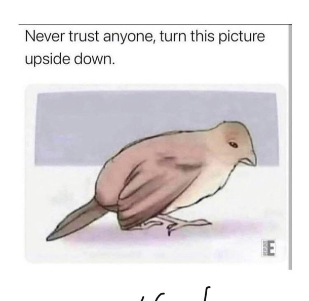 Never