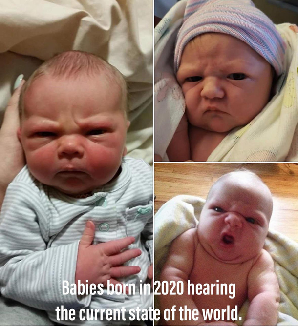  newborns react