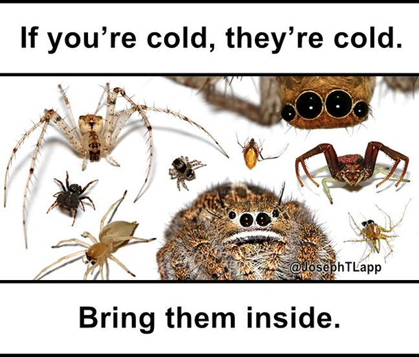 No