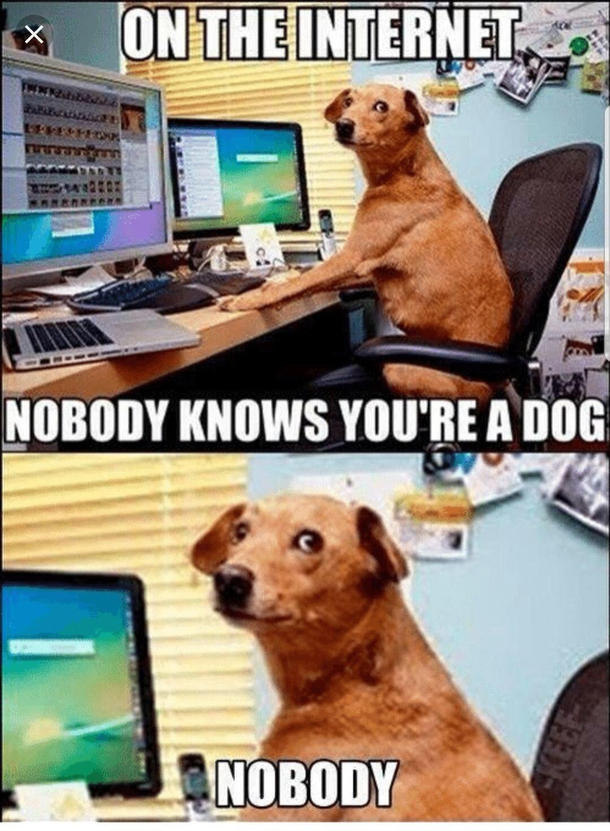 Nobody