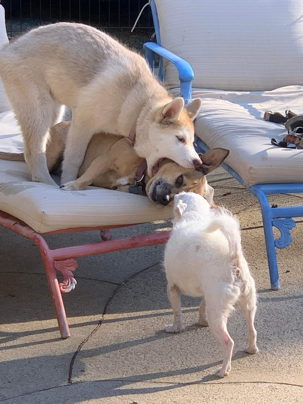 Nom