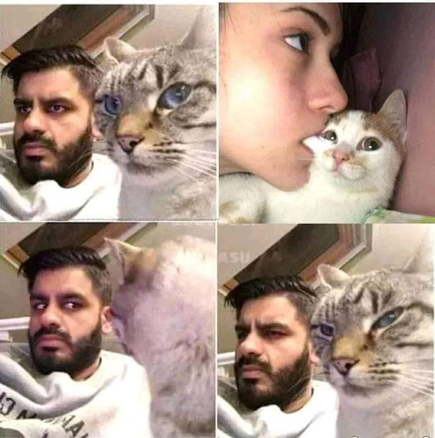 Nop