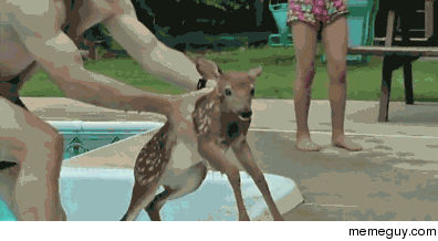Nope