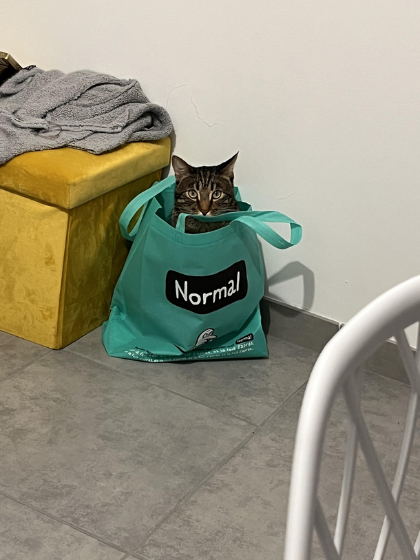 Normal