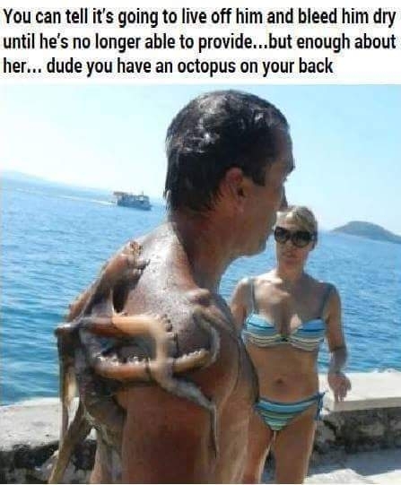 Octopus