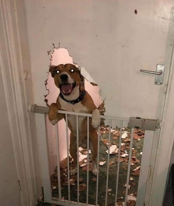 Ohhello