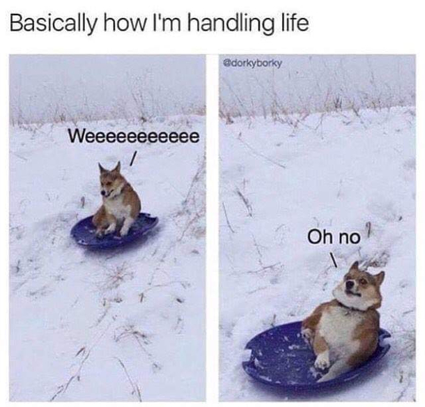 oof
