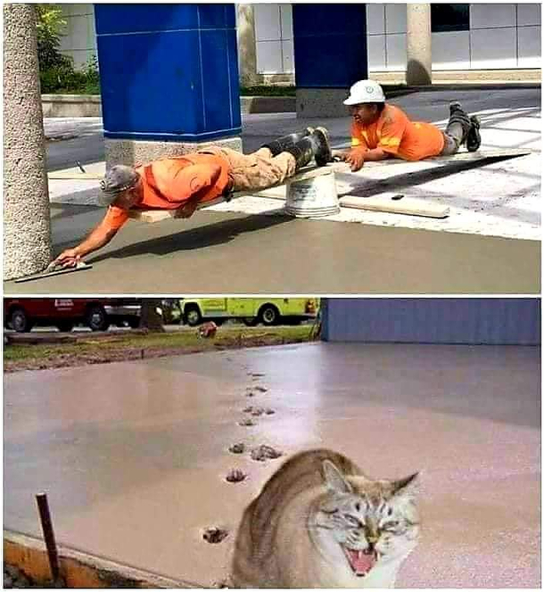 Oof