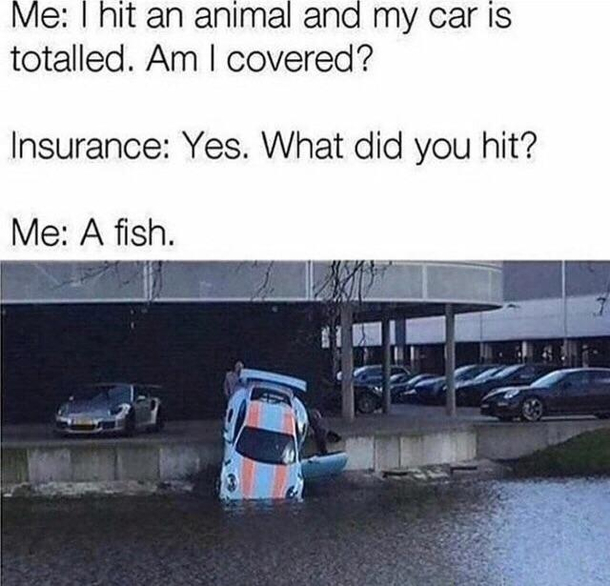 Oof