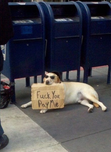 Ook