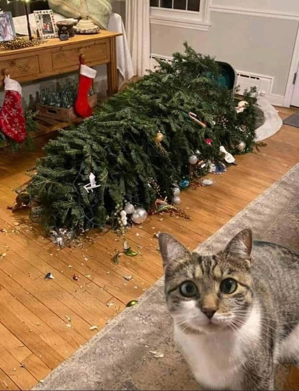 Oopsies