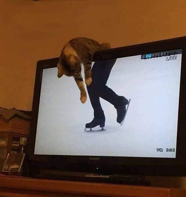  out of 