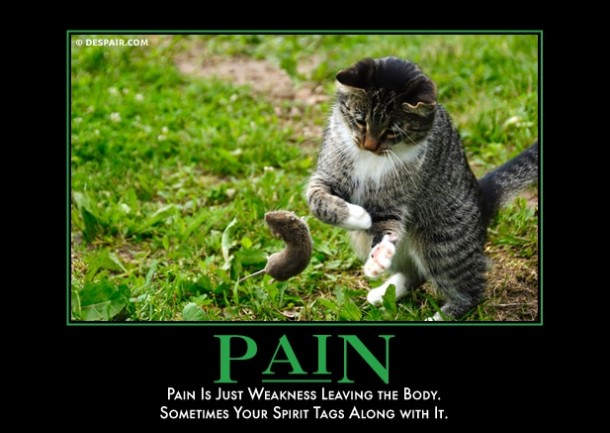 Pain