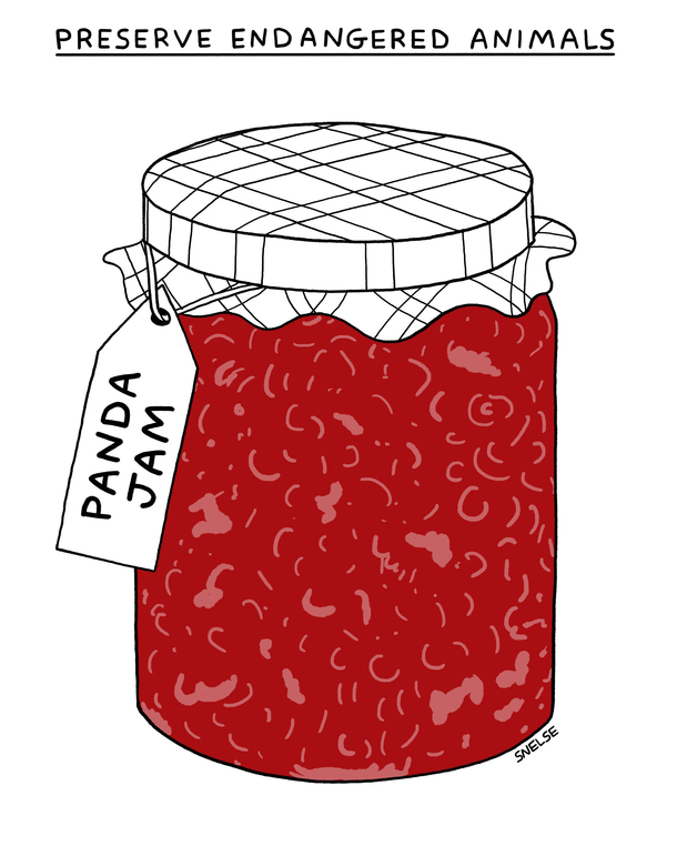  Panda Jam