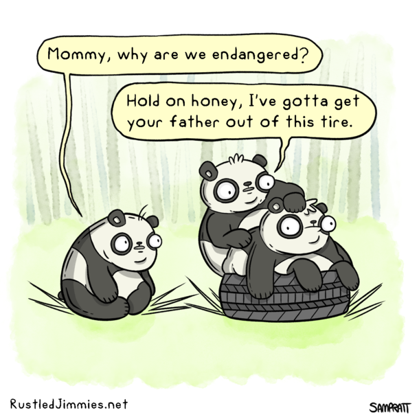Pandas