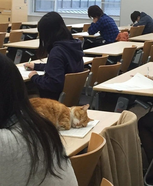 Paperweight