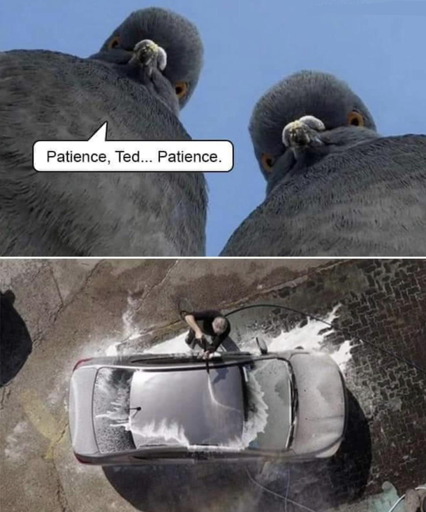 Patience