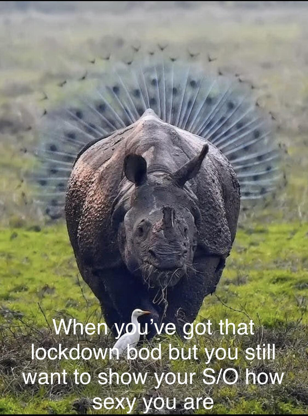 Peacocking