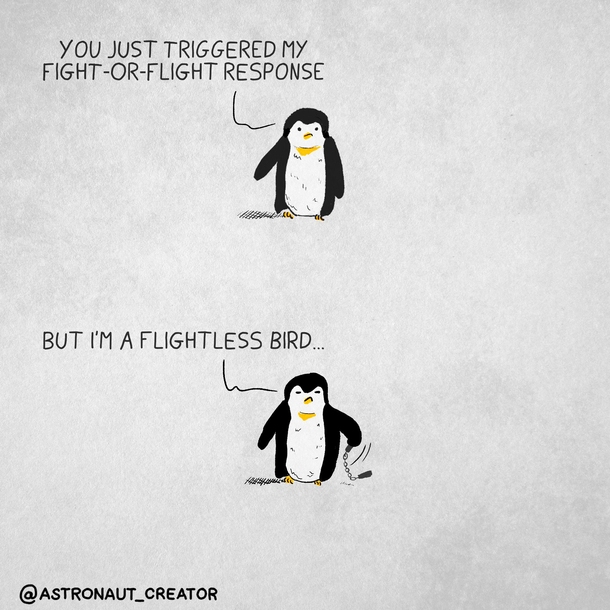 Penguins